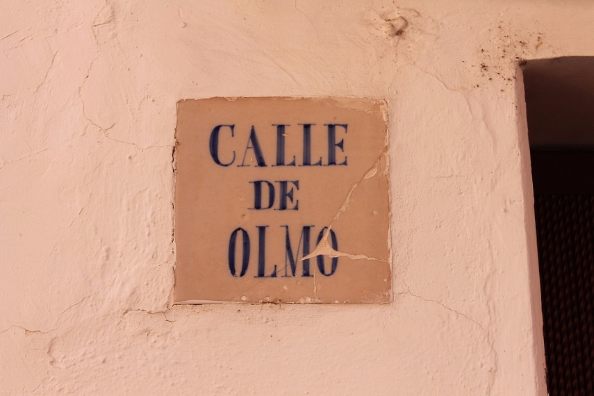 Calle Olmo web
